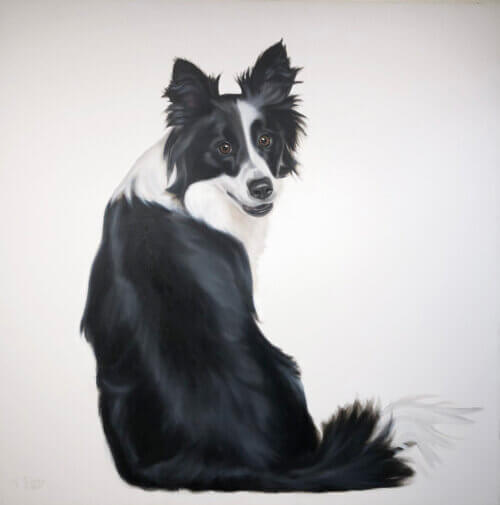Gretta Gibney Charmer Border Collie 48x48