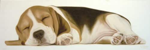 Gretta Gibney Sweet Dreams 18x54