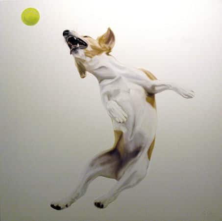 Gretta Gibney Terrier Receiver 48x48