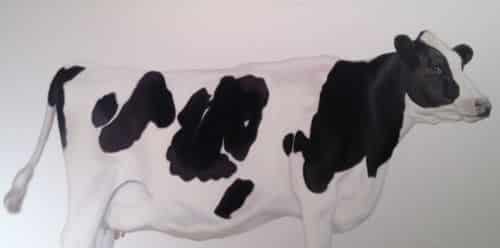 Gretta Gibney Udder Delight 30x60