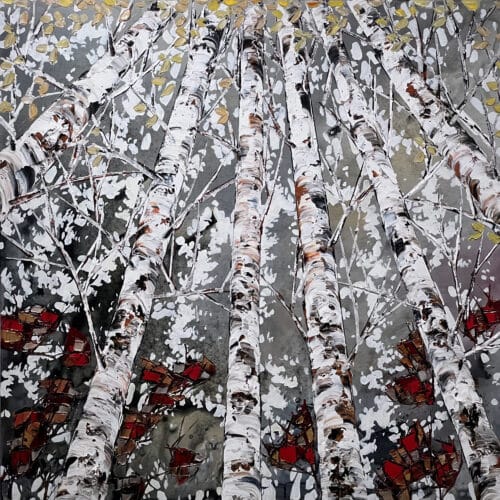 Maya Eventov Birch Spectrum Looking Up 48x48, original on canvas, acrylic palette-knife impasto, birch forest looking up