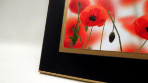 Plaque Mount With Mat