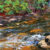 Sam Paonessa Norval Plein Air Event Credit River